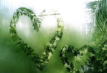 苟仲文：从苟局到仲文同志的蜕变之路