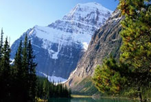 海关查获200粒三唑仑