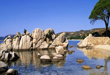 郎平膝盖颈椎髋关节都置换了